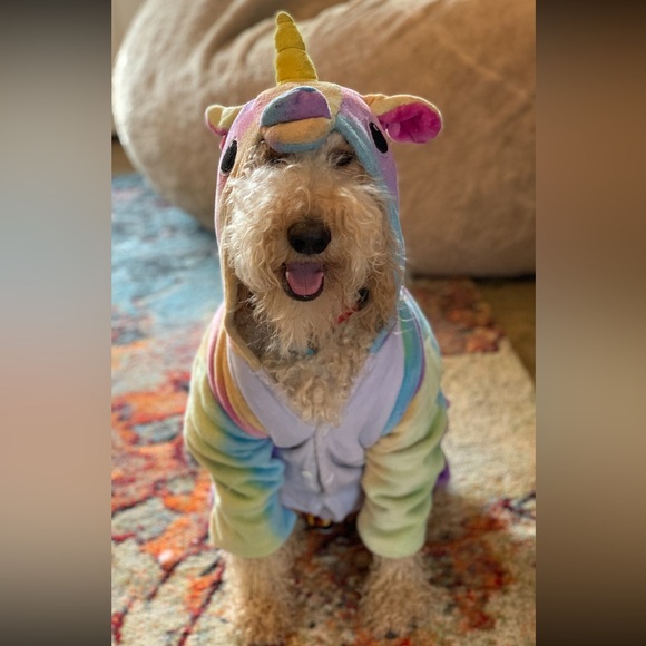 πLIVE SHOW QUICK LIST π - Picture 2 of 3